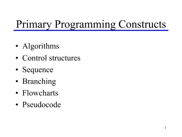 Primary Programming Constructs