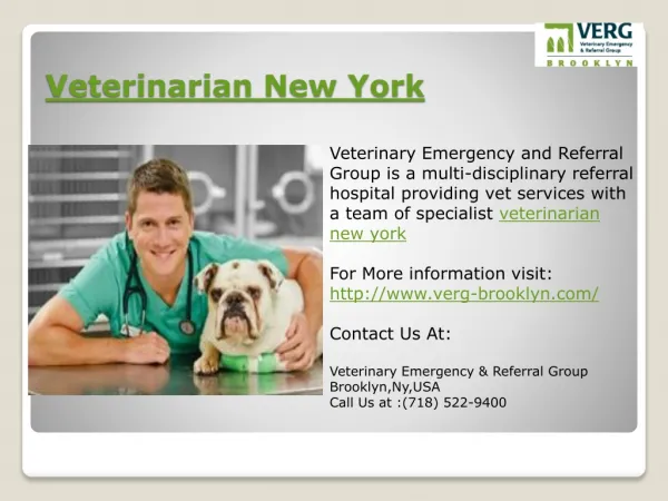 Brooklyn Veterinary Services - Find A Veterinarian in Brookl