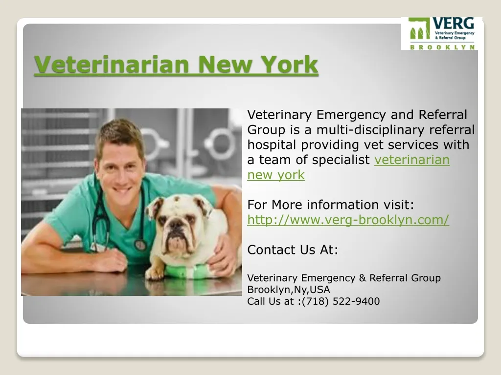 veterinarian new york