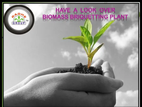 Have A Look Over Biomass Briquetting Plant