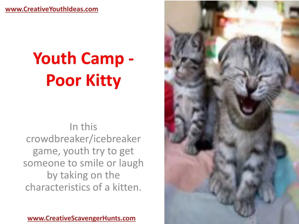 youth camp poor kitty