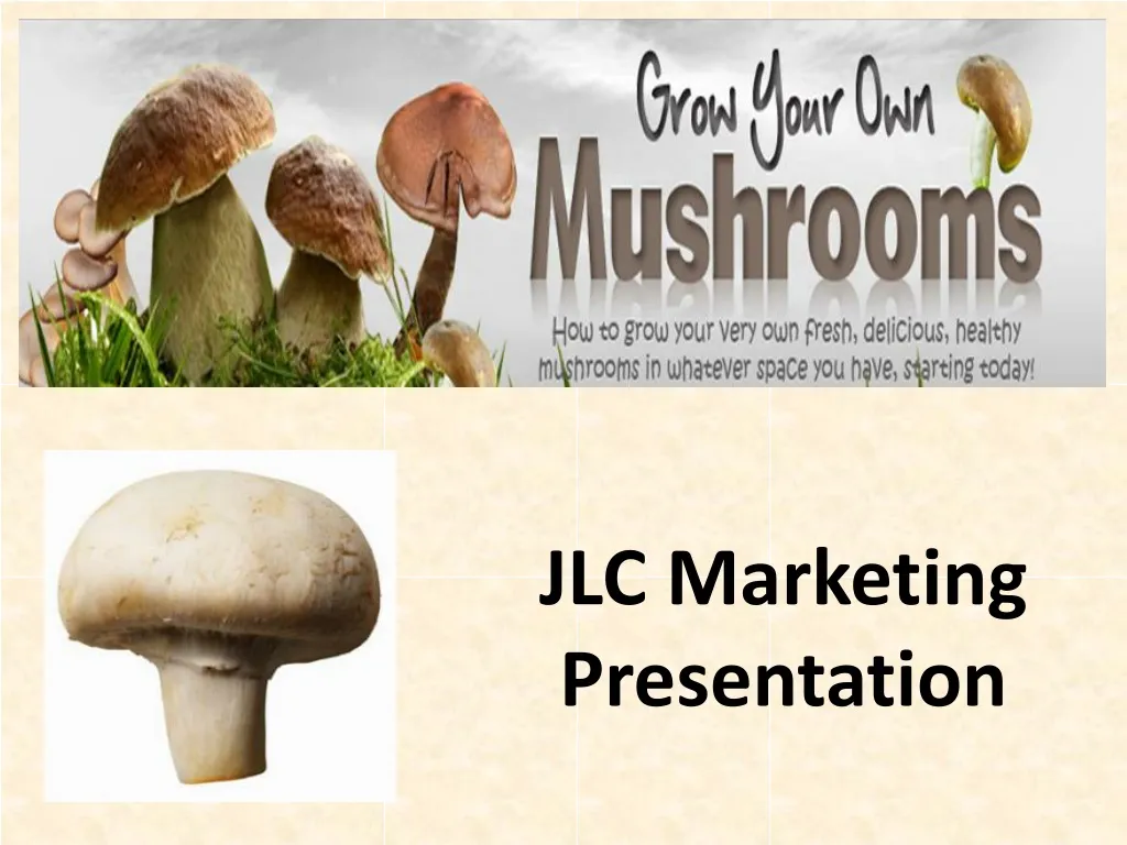 jlc marketing presentation