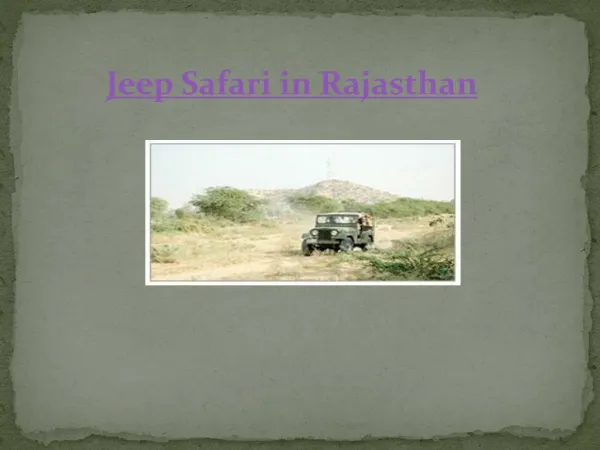 jeep safari in rajasthan