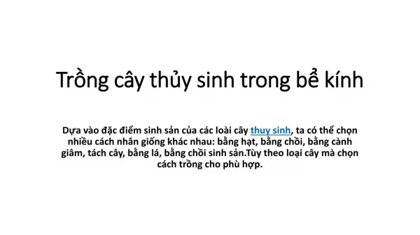 tr ng c y th y sinh trong b k nh