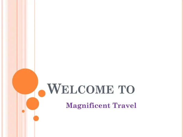 Magnificent Travel - overview