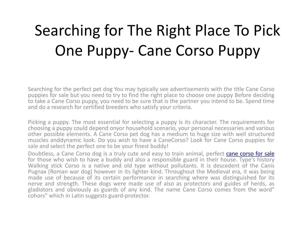 searching for the right place to pick one puppy cane corso puppy