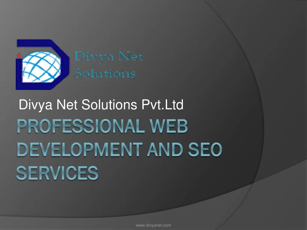 professional web development and seo services