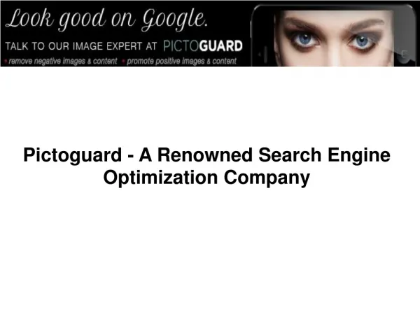 Pictoguard - A Renowned Search Engine Optimization Company