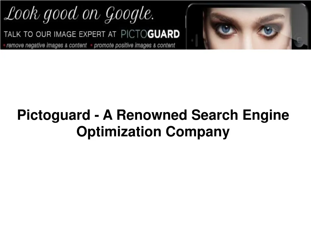 pictoguard a renowned search engine optimization