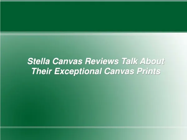 Stella Canvas Reviews