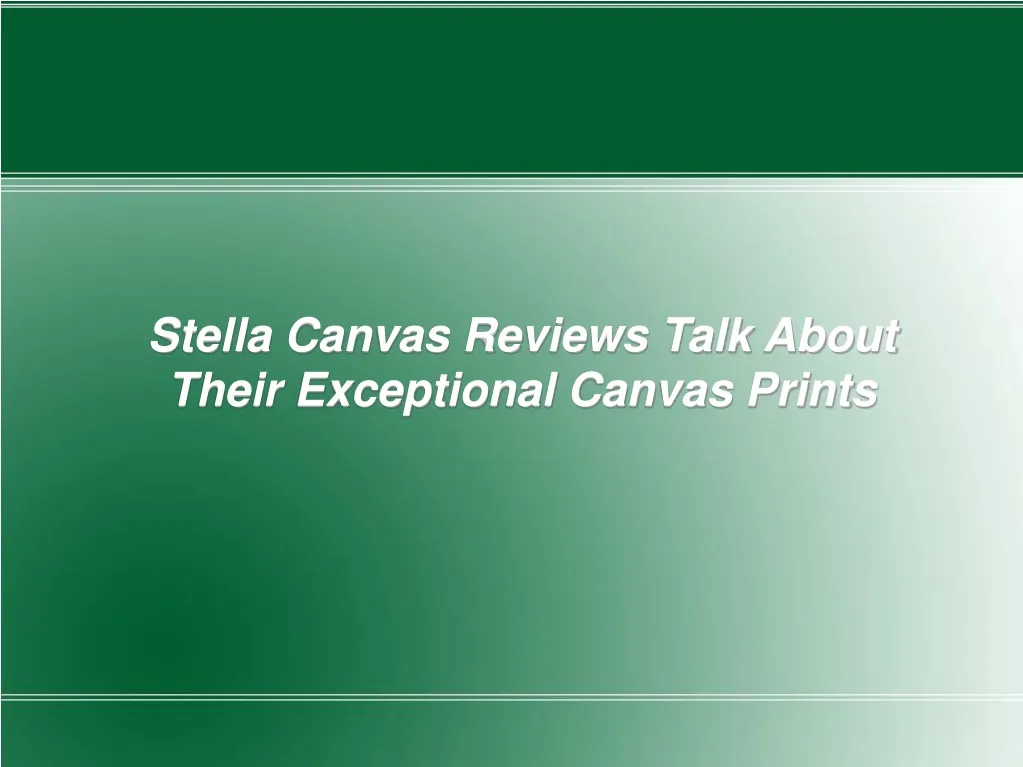 stella canvas reviews talk about their