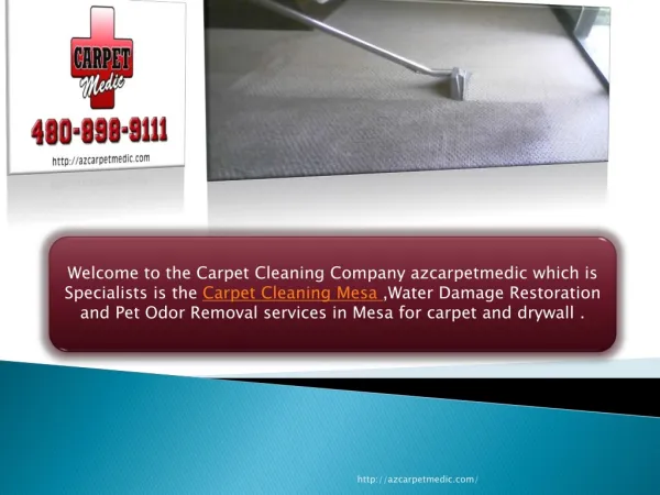 High Quality Carpet Cleaning in Mesa AZ