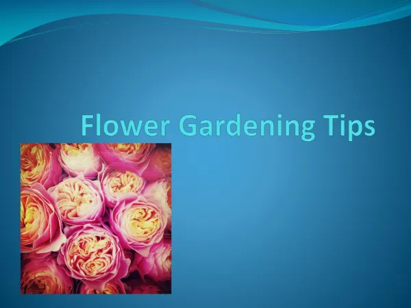Flower gardening tips