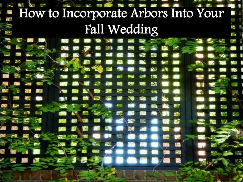 how to incorporate arbors into your fall wedding