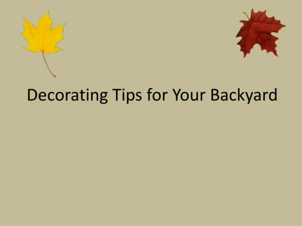 Decorating Tips for Your Backyard