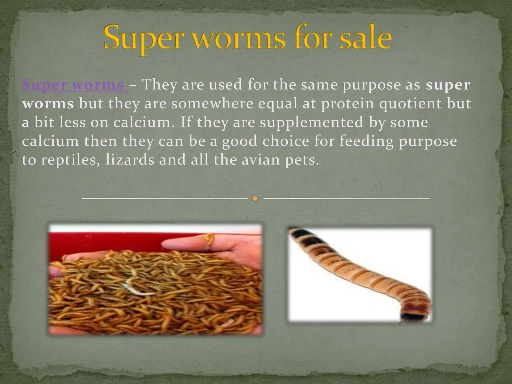 s uper worms for sale