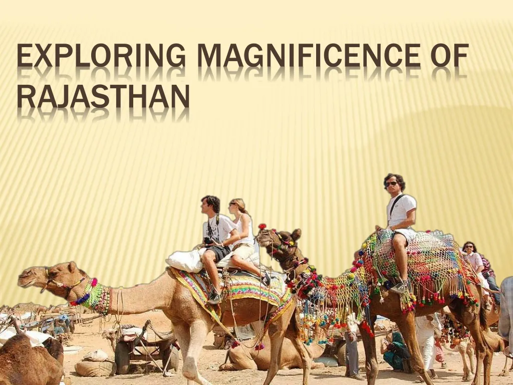 exploring magnificence of rajasthan