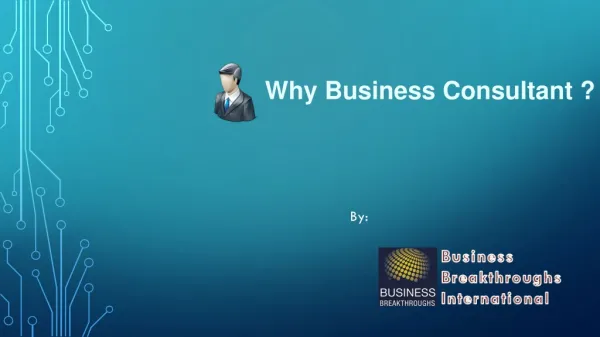 Why Business Consultant