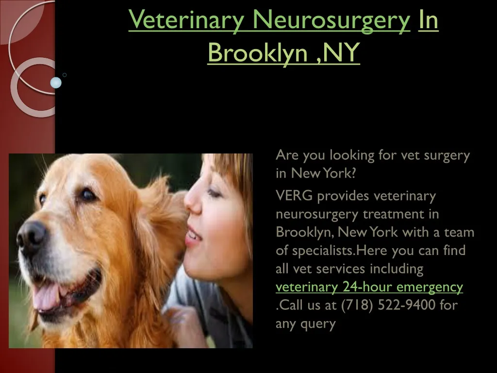 veterinary neurosurgery in brooklyn ny