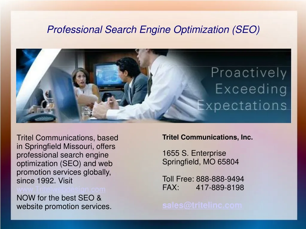 professional search engine optimization seo