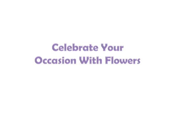 Celebrate Occasion With Flowers