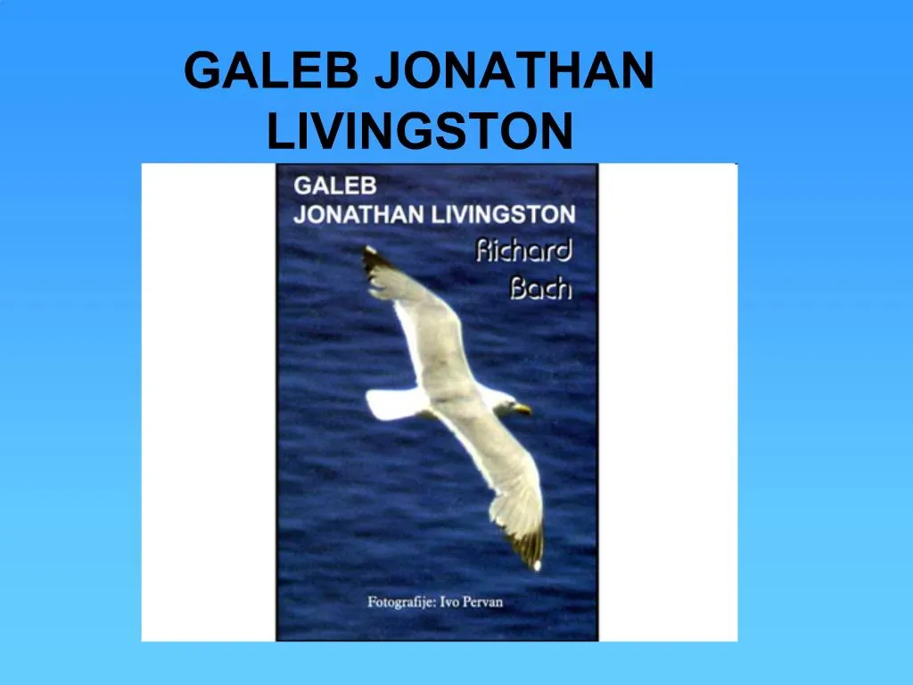 PPT - Gabbiano Jonathan Livingston PowerPoint Presentation, free download -  ID:2996090