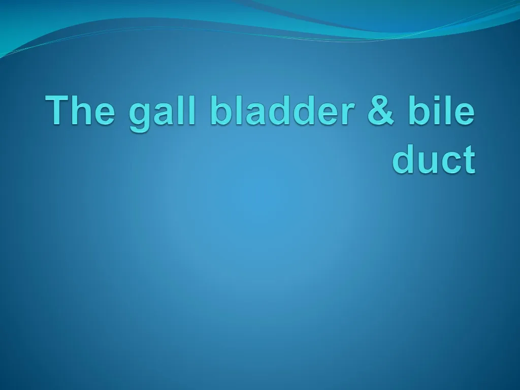 the gall bladder bile duct