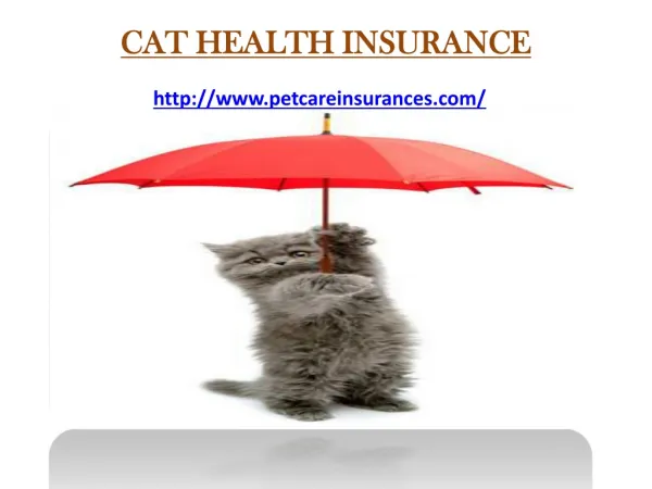 Cat Health Insurance