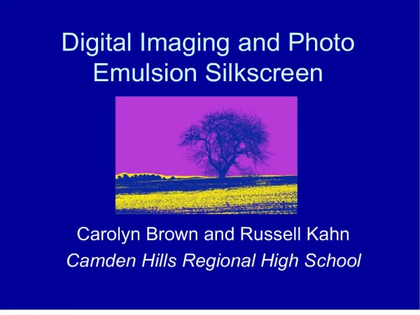 digital imaging and photo emulsion silkscreen