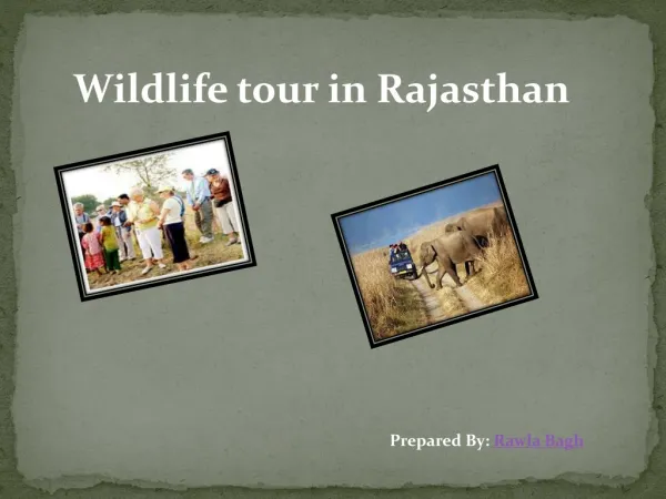 Wildlife tour in Rajasthan