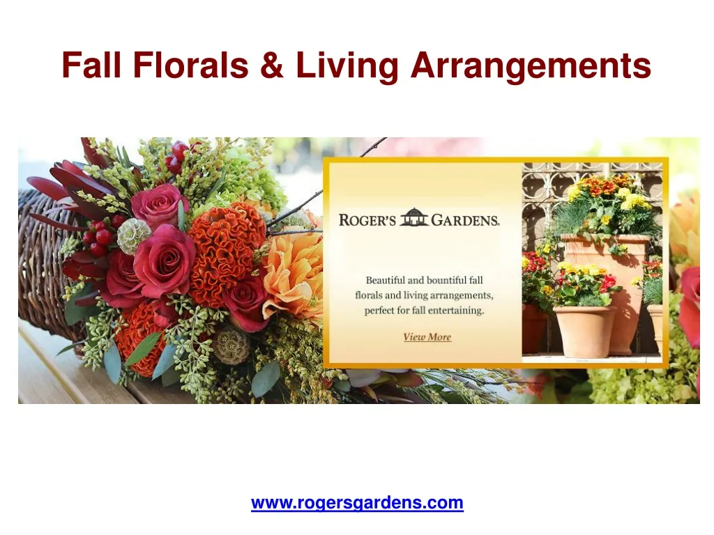 fall florals living arrangements