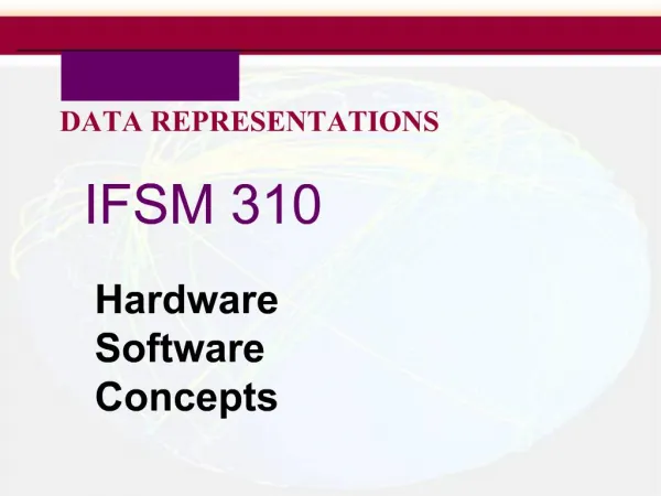 IFSM 310