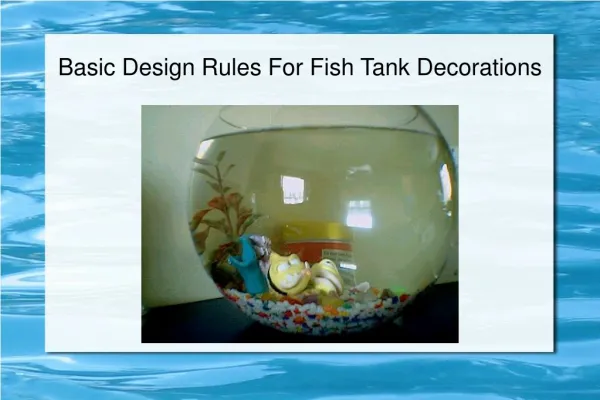 Basic Design Rules For Fish Tank Decorations