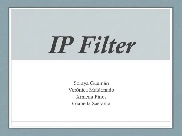 IP Filter