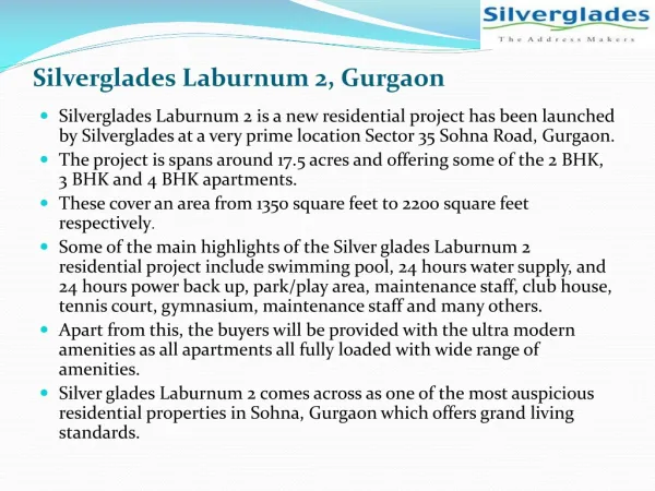 Silverglades Laburnum 2