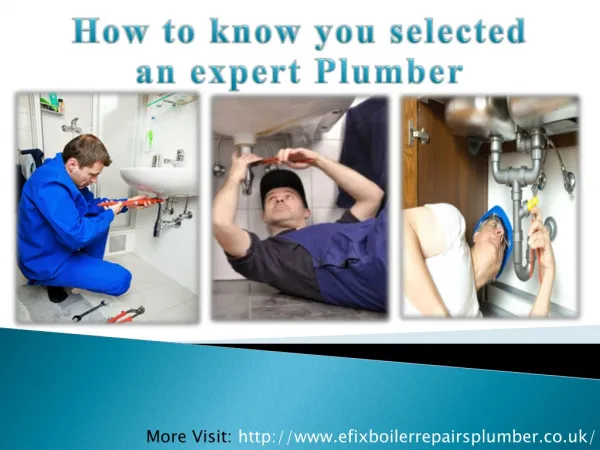 How to know you selected an expert Plumber