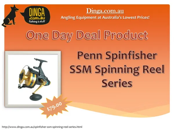 One day deal: Penn Spinfisher SSM Spinning Reel Series