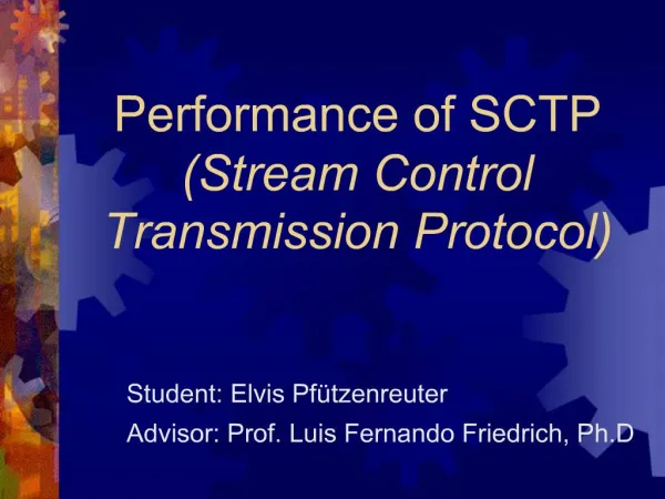 Student: Elvis Pf tzenreuter Advisor: Prof. Luis Fernando Friedrich, Ph.D