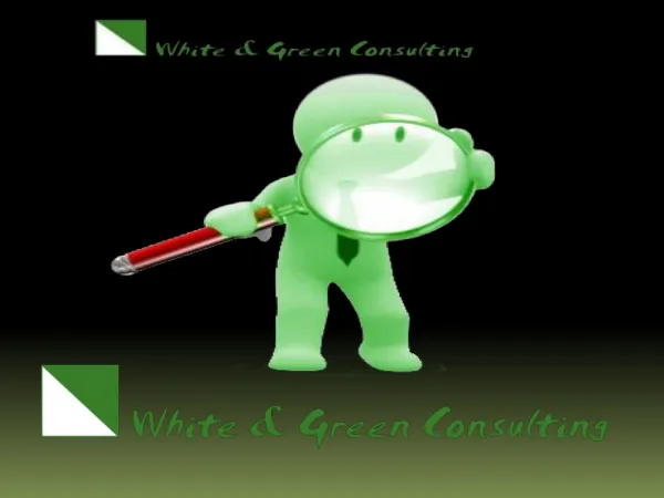 WnG Consulting Provide better-quality SEO Services