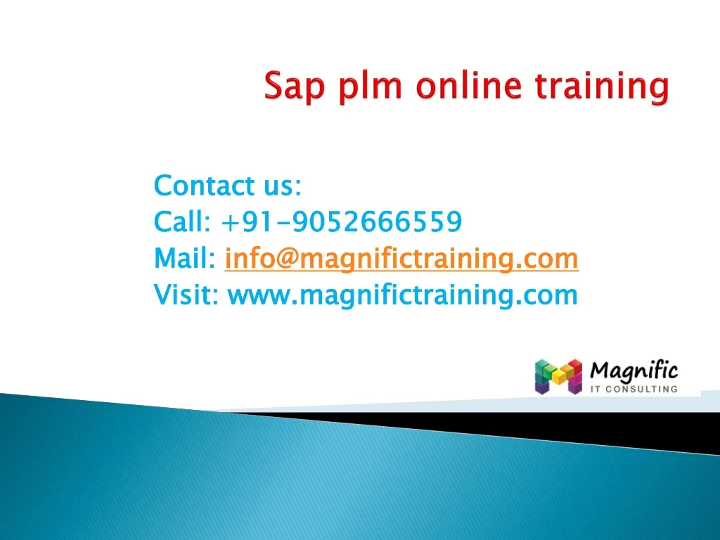 sap plm online training