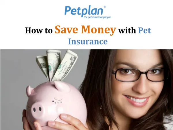 How to Save Money with Pet Insurance