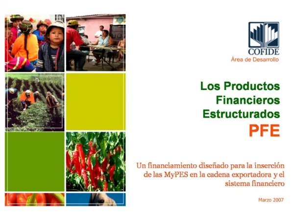 Los Productos Financieros Estructurados PFE