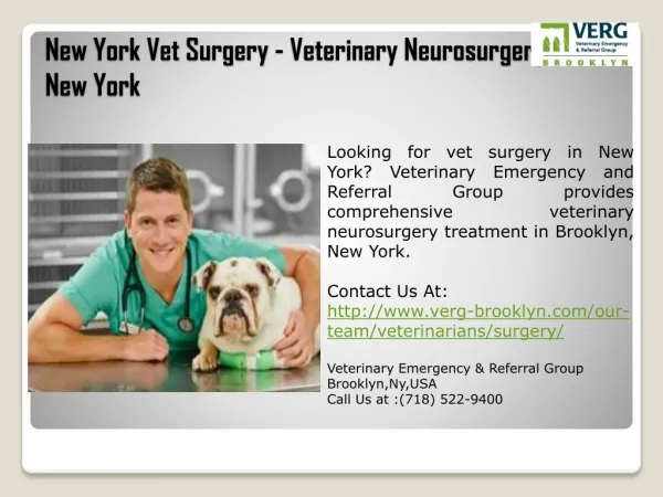 New York Vet Surgery