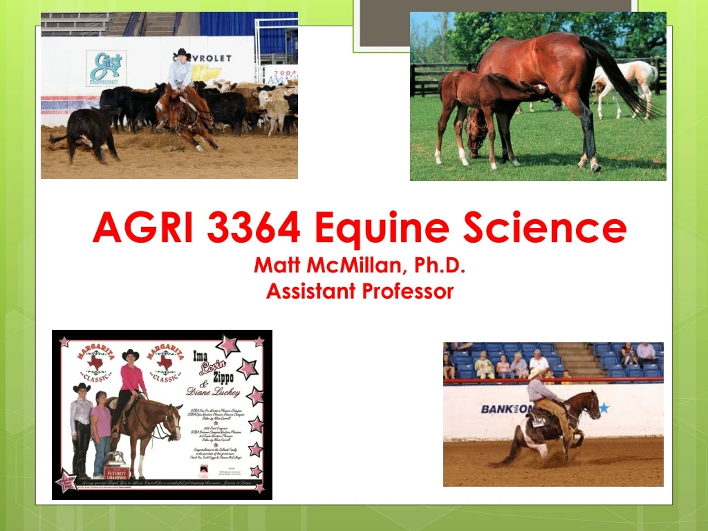 agri 3364 equine science matt mcmillan ph d assistant professor