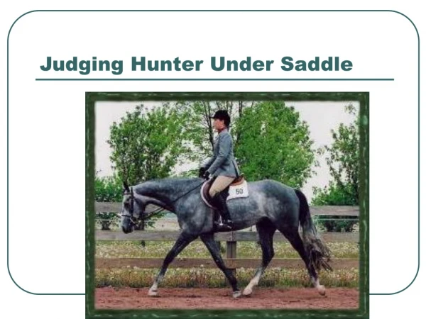 Judging Hunter Under Saddle
