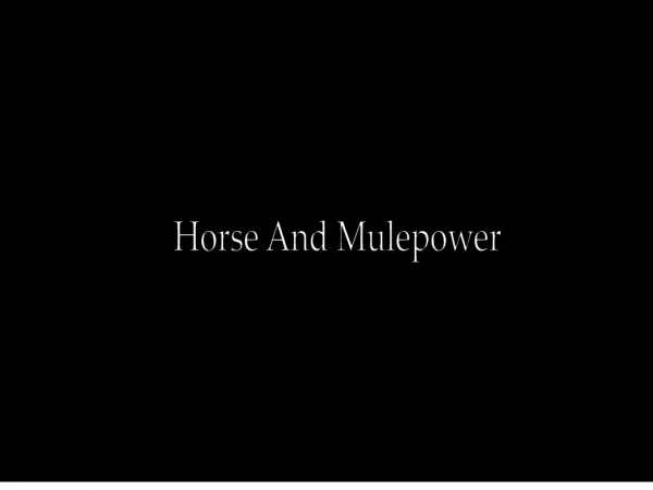 horse and mulepower