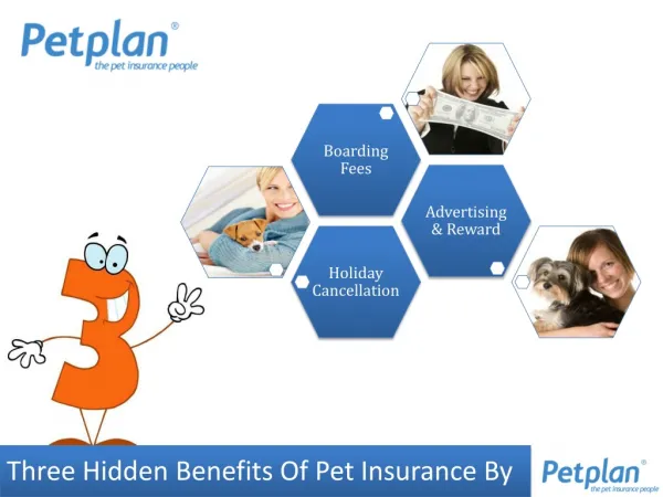 Three hidden benefits of Pet Insurance