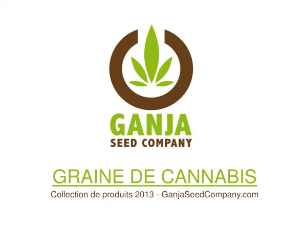 Graine de Cannabis