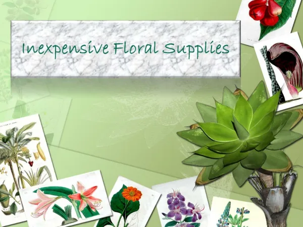 Inexpensive Floral Supplies