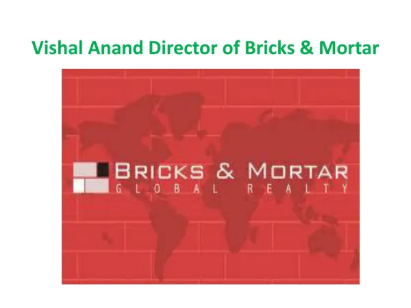 Vishal Anand Bricks